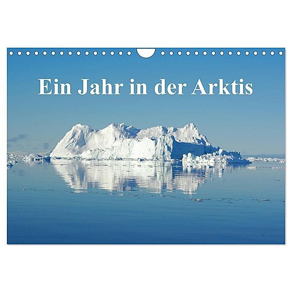 Ein Jahr in der Arktis (Wandkalender 2024 DIN A4 quer), CALVENDO Monatskalender, Schluffis on Tour