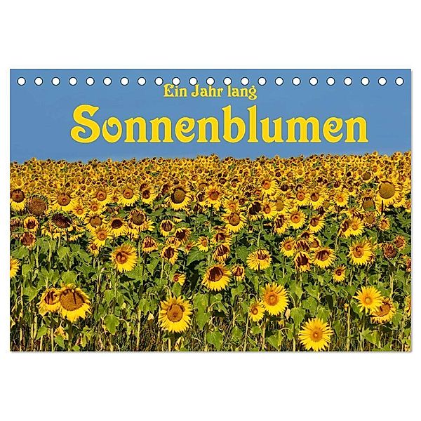 Ein Jahr lang Sonnenblumen (Tischkalender 2024 DIN A5 quer), CALVENDO Monatskalender, Anke van Wyk - www.germanpix.net