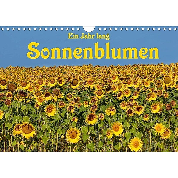 Ein Jahr lang Sonnenblumen (Wandkalender 2021 DIN A4 quer), Anke van Wyk - www.germanpix.net