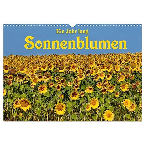 Ein Jahr lang Sonnenblumen (Wandkalender 2024 DIN A3 quer), CALVENDO Monatskalender, Anke van Wyk - www.germanpix.net