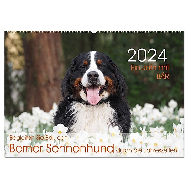 Ein Jahr mit BÄR. Begleiten Sie Bär, den Berner Sennenhund, durch die Jahreszeiten. (Wandkalender 2024 DIN A2 quer), CALVENDO Monatskalender, Sonja Brenner
