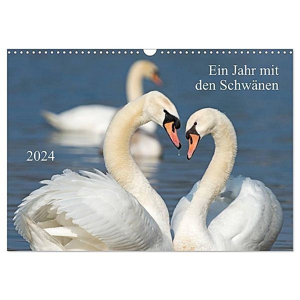 Ein Jahr mit den Schwänen (Wandkalender 2024 DIN A3 quer), CALVENDO Monatskalender, Roland T. Frank