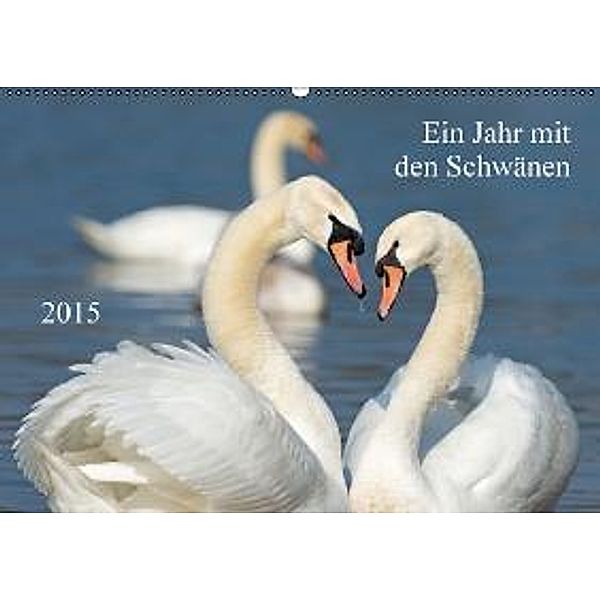 Ein Jahr mit den SchwänenCH-Version (Wandkalender 2015 DIN A2 quer), Roland T. Frank
