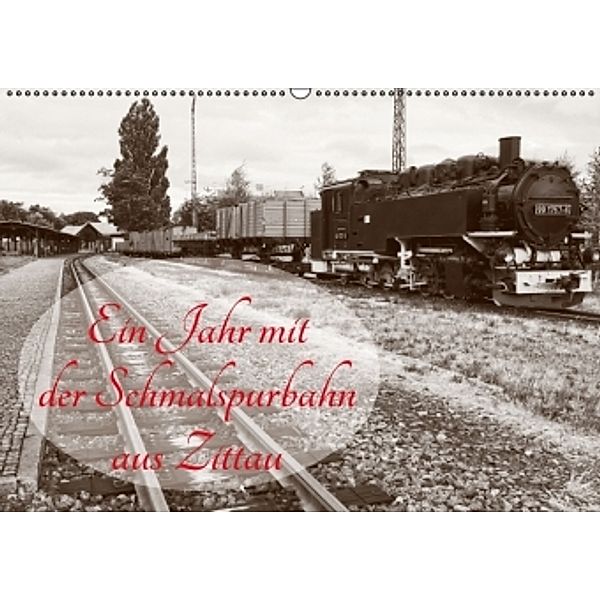 Ein Jahr mit der Schmalspurbahn aus Zittau (Wandkalender 2016 DIN A2 quer), Joy Valley