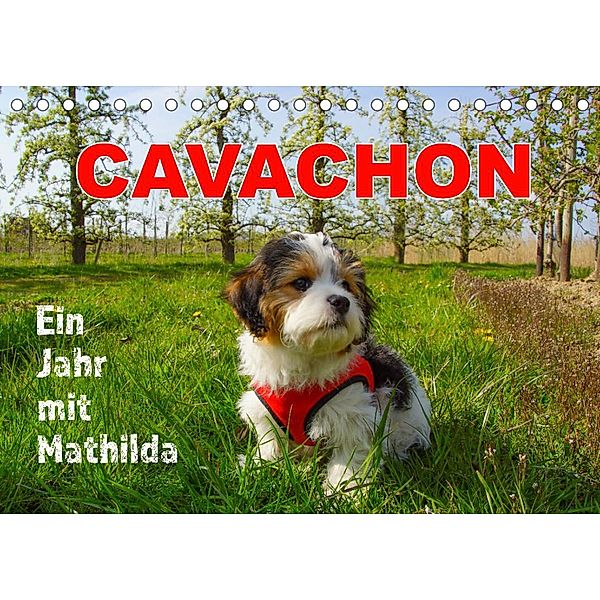 Ein Jahr mit Mathilda CAVACHON (Tischkalender 2023 DIN A5 quer), Martina Kröger