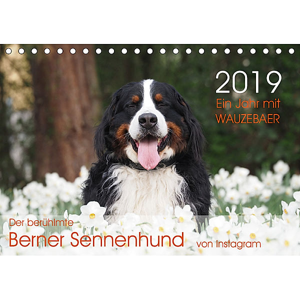 Ein Jahr mit WAUZEBAER - Der berühmte Berner Sennenhund von Instagram (Tischkalender 2019 DIN A5 quer), Sonja Brenner