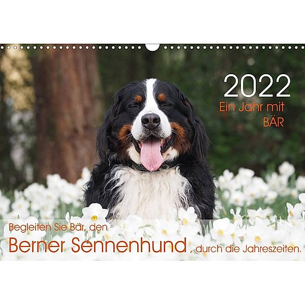 Ein Jahr mit WAUZEBAER - Der berühmte Berner Sennenhund von Instagram (Wandkalender 2022 DIN A3 quer), Sonja Brenner