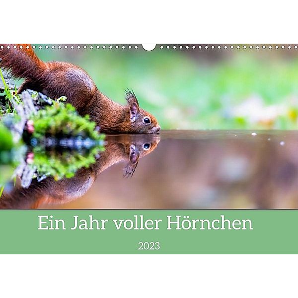 Ein Jahr voller Hörnchen (Wandkalender 2023 DIN A3 quer), ellenlichtenheldt