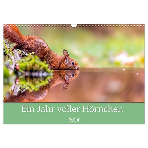 Ein Jahr voller Hörnchen (Wandkalender 2024 DIN A3 quer), CALVENDO Monatskalender, ellenlichtenheldt