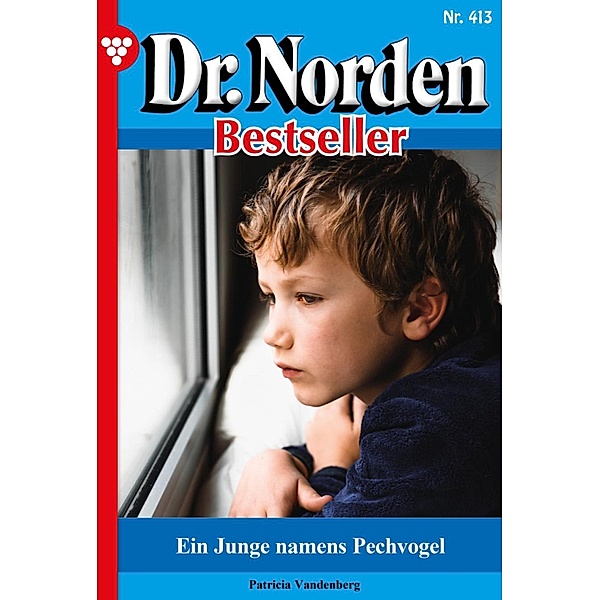 Ein Junge namens Pechvogel / Dr. Norden Bestseller Bd.413, Patricia Vandenberg