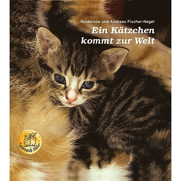 Ein Kätzchen kommt zur Welt, Heiderose Fischer-Nagel, Andreas Fischer-Nagel