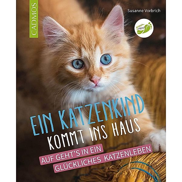 Ein Katzenkind kommt ins Haus, Susanne Vorbrich