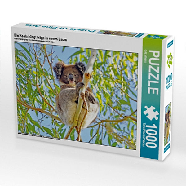 Ein Koala hängt träge in einem Baum (Puzzle), Calvendo