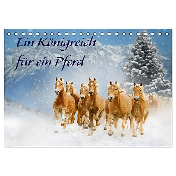 Ein Königreich für ein Pferd (Tischkalender 2025 DIN A5 quer), CALVENDO Monatskalender, Calvendo, Sigrid Starick