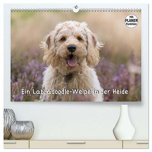 Ein Labradoodle-Welpe in der Heide (hochwertiger Premium Wandkalender 2024 DIN A2 quer), Kunstdruck in Hochglanz, Sonja Teßen