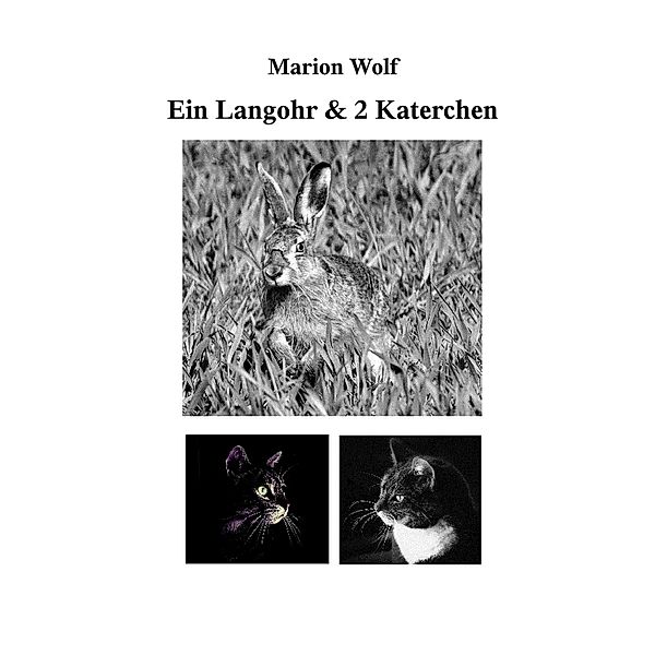Ein Langohr & 2 Katerchen, Marion Wolf