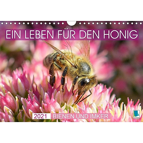 Ein Leben für den Honig - Bienen und Imker (Wandkalender 2021 DIN A4 quer), Calvendo
