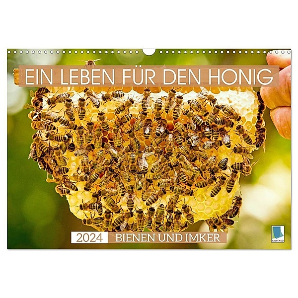 Ein Leben für den Honig - Bienen und Imker (Wandkalender 2024 DIN A3 quer), CALVENDO Monatskalender, Calvendo