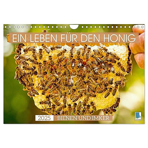 Ein Leben für den Honig - Bienen und Imker (Wandkalender 2025 DIN A4 quer), CALVENDO Monatskalender, Calvendo