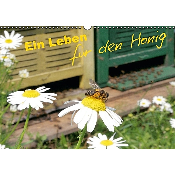Ein Leben für den Honig (Wandkalender 2014 DIN A3 quer)