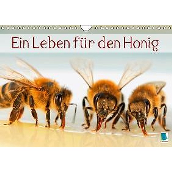 Ein Leben für den Honig (Wandkalender 2016 DIN A4 quer), Calvendo