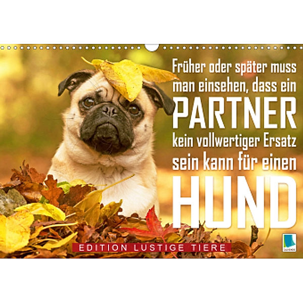 Ein Mann kann kein vollwertiger Ersatz für einen Hund sein: Edition lustige Tiere (Wandkalender 2021 DIN A3 quer), Calvendo