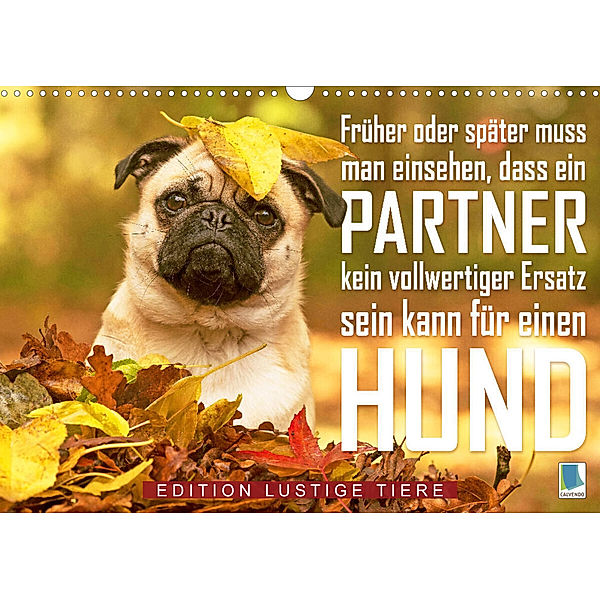 Ein Mann kann kein vollwertiger Ersatz für einen Hund sein: Edition lustige Tiere (Wandkalender 2023 DIN A3 quer), Calvendo