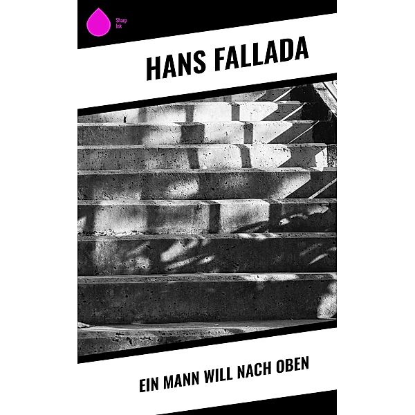 Ein Mann will nach oben, Hans Fallada