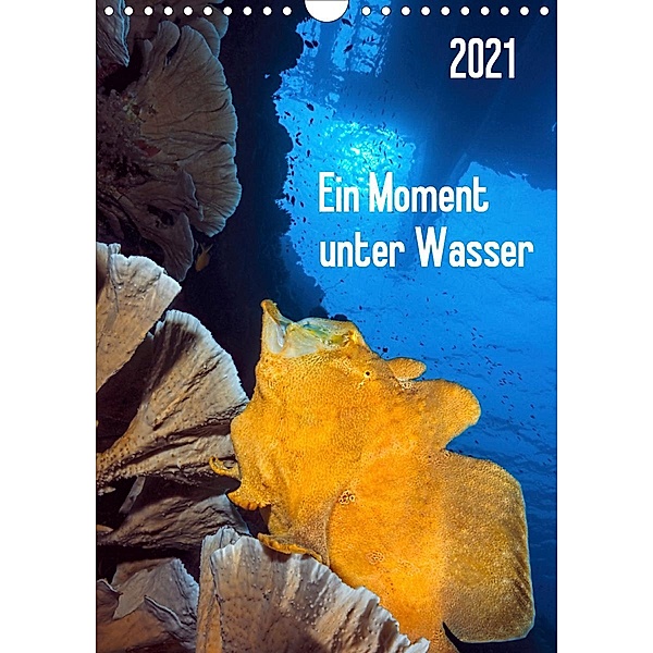 Ein Moment unter Wasser (Wandkalender 2021 DIN A4 hoch), Henry Jager