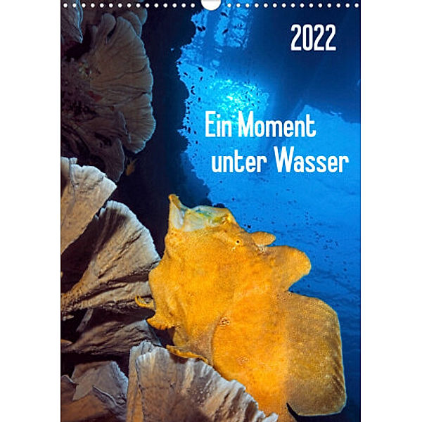 Ein Moment unter Wasser (Wandkalender 2022 DIN A3 hoch), Henry Jager