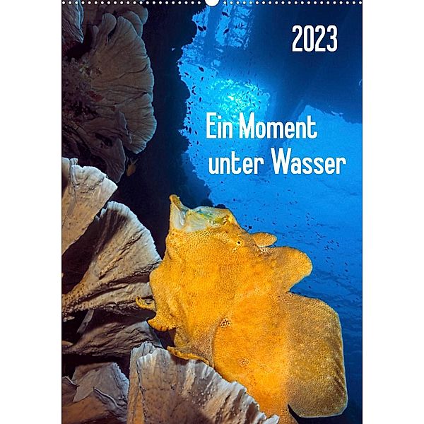 Ein Moment unter Wasser (Wandkalender 2023 DIN A2 hoch), Henry Jager