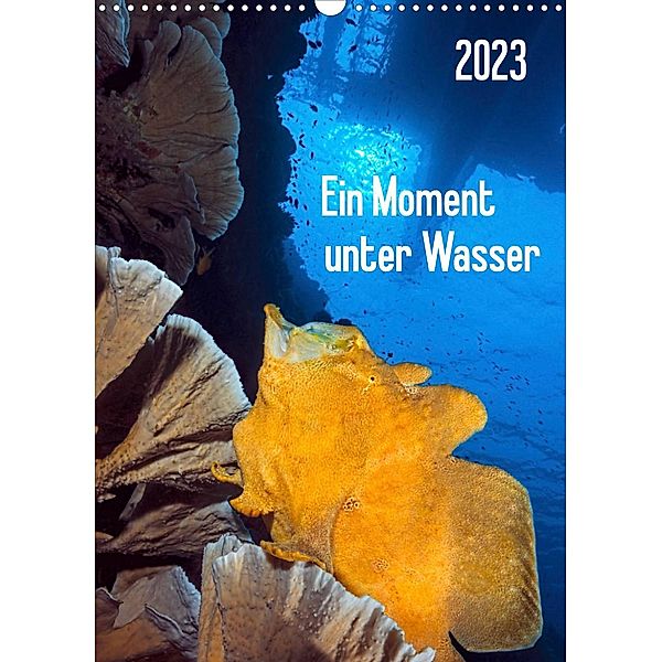 Ein Moment unter Wasser (Wandkalender 2023 DIN A3 hoch), Henry Jager