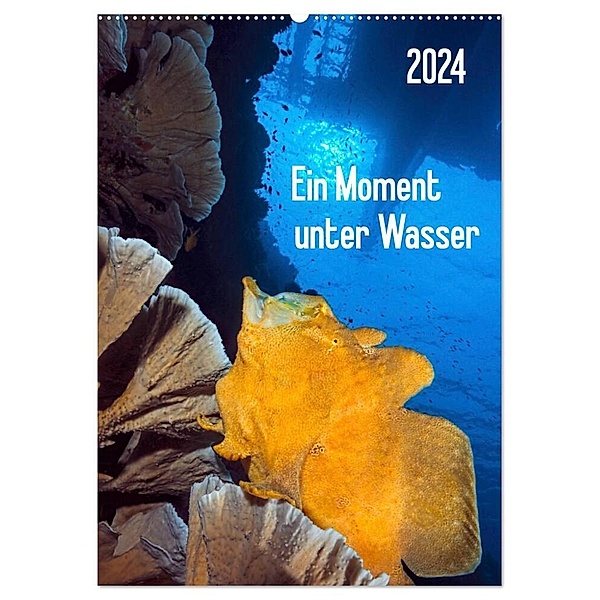 Ein Moment unter Wasser (Wandkalender 2024 DIN A2 hoch), CALVENDO Monatskalender, Henry Jager