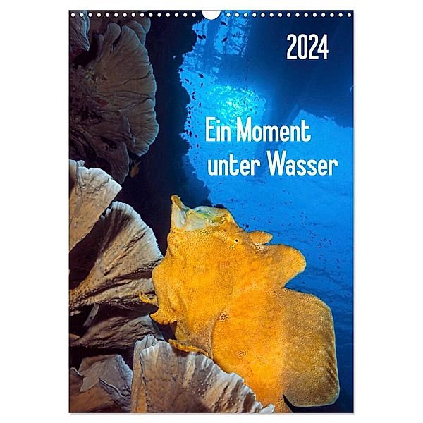 Ein Moment unter Wasser (Wandkalender 2024 DIN A3 hoch), CALVENDO Monatskalender, Henry Jager