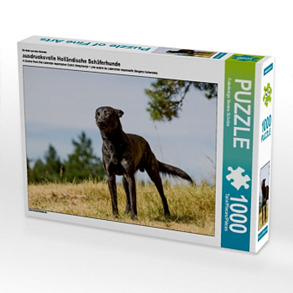 Ein Motiv aus dem Kalender ausdrucksvolle Holländische Schäferhunde (Puzzle), Verena Scholze