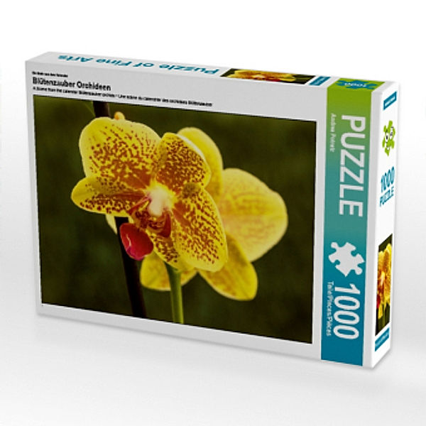 Ein Motiv aus dem Kalender Blütenzauber Orchideen (Puzzle), Andrea Potratz