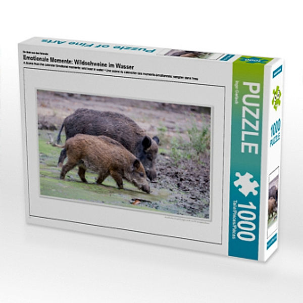 Ein Motiv aus dem Kalender Emotionale Momente: Wildschweine im Wasser (Puzzle), Ingo Gerlach