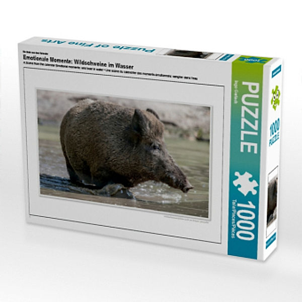Ein Motiv aus dem Kalender Emotionale Momente: Wildschweine im Wasser (Puzzle), Ingo Gerlach