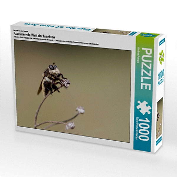 Ein Motiv aus dem Kalender Fasziniernde Welt der Insekten (Puzzle), Andrea Potratz