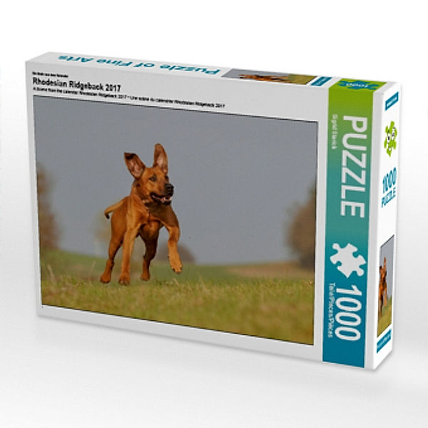 Ein Motiv aus dem Kalender Rhodesian Ridgeback 2017 (Puzzle), Sigrid Starick