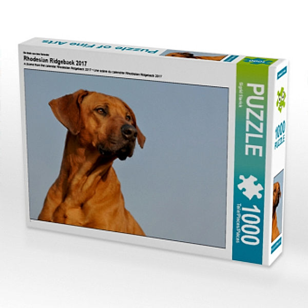 Ein Motiv aus dem Kalender Rhodesian Ridgeback 2017 (Puzzle), Sigrid Starick