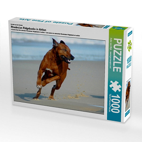 Ein Motiv aus dem Kalender Rhodesian Ridgebacks in Aktion (Puzzle), Anke van Wyk