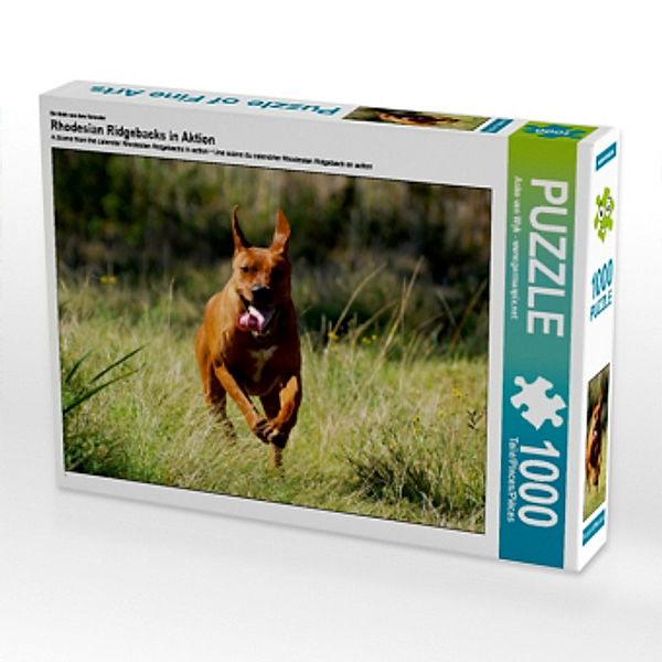 Ein Motiv aus dem Kalender Rhodesian Ridgebacks in Aktion (Puzzle), Anke van Wyk