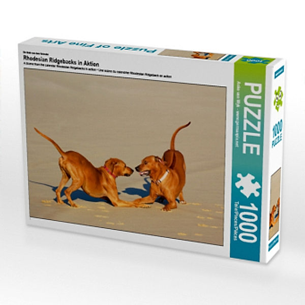 Ein Motiv aus dem Kalender Rhodesian Ridgebacks in Aktion (Puzzle), Anke van Wyk