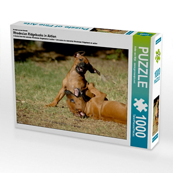 Ein Motiv aus dem Kalender Rhodesian Ridgebacks in Aktion (Puzzle), Anke van Wyk