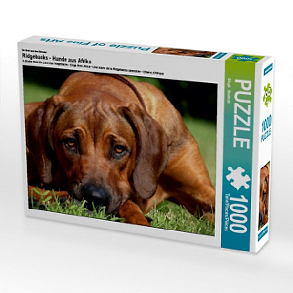 Ein Motiv aus dem Kalender Ridgebacks - Hunde aus Afrika (Puzzle), Birgit Bodsch