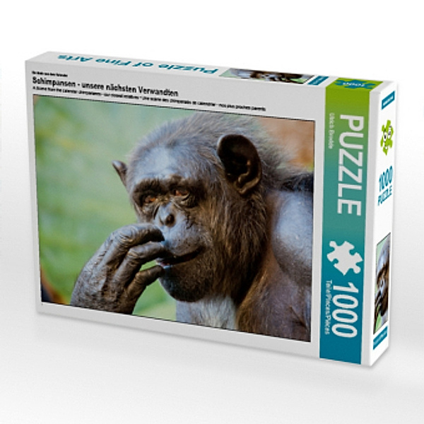 Ein Motiv aus dem Kalender Schimpansen - unsere nächsten Verwandten (Puzzle), Ulrich Brodde