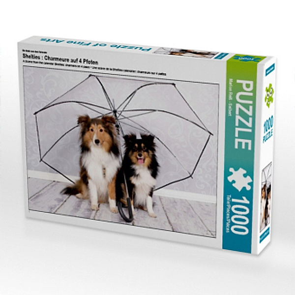 Ein Motiv aus dem Kalender Shelties : Charmeure auf 4 Pfoten (Puzzle), Marion Reiß - Seibert