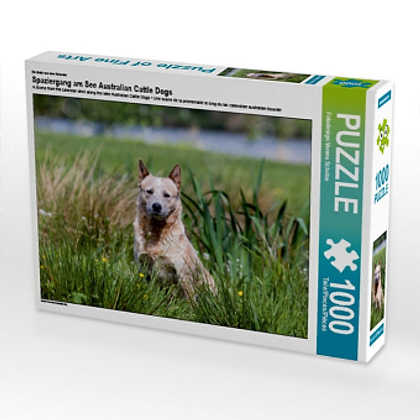 Ein Motiv aus dem Kalender Spaziergang am See Australian Cattle Dogs (Puzzle), Verena Scholze