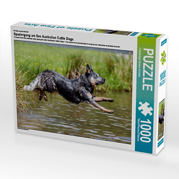 Ein Motiv aus dem Kalender Spaziergang am See Australian Cattle Dogs (Puzzle), Verena Scholze